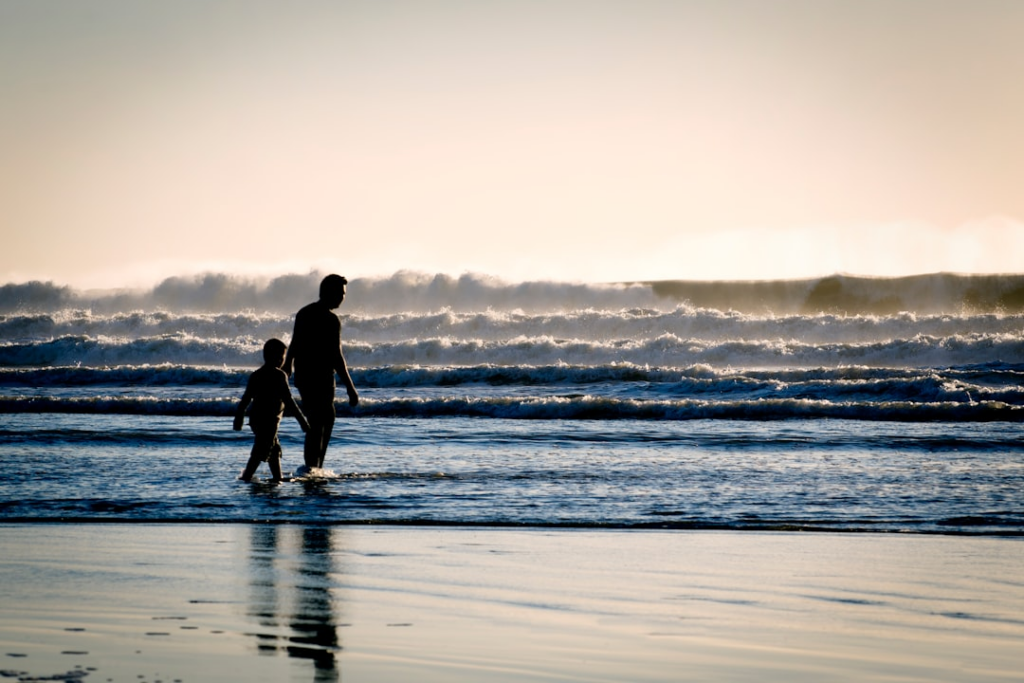 Family Law Attorney 
